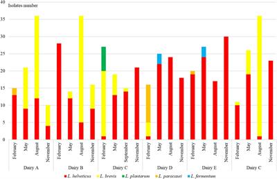 Massive Survey on Bacterial–Bacteriophages Biodiversity and Quality of Natural Whey Starter Cultures in Trentingrana Cheese Production